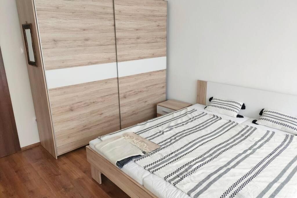 Plaza Apartman - City Center, Free Parking, Free Wifi Дебрецен Екстериор снимка